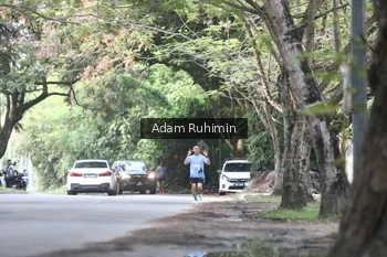 Runner Photo 3185226