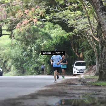 Runner Photo 3185351