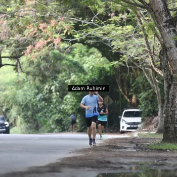 Runner Photo 3185352