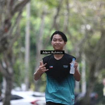 Runner Photo 3185383