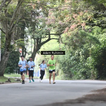 Runner Photo 3185413