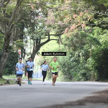 Runner Photo 3185414