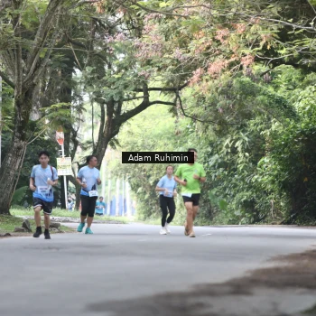 Runner Photo 3185416