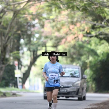 Runner Photo 3185533