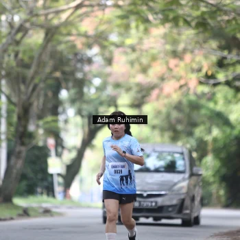 Runner Photo 3185535