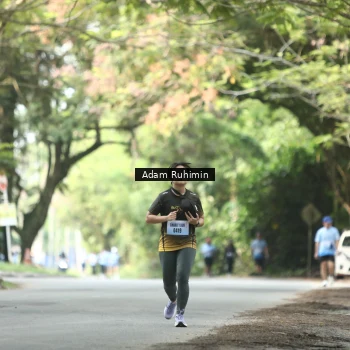 Runner Photo 3185837