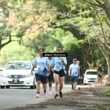 Runner Photo 3185858