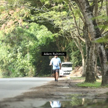 Runner Photo 3186115