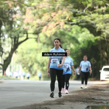 Runner Photo 3186262