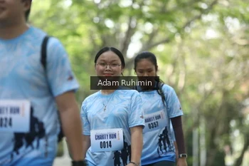 Runner Photo 3186341