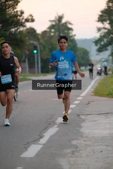 Runner Photo 3195401