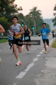 Runner Photo 3195695