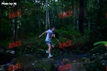 Runner Photo 320315
