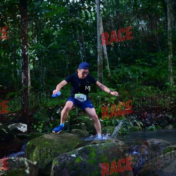 Runner Photo 320404