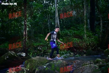 Runner Photo 320420