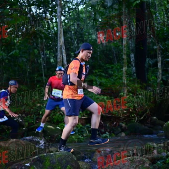Runner Photo 320439