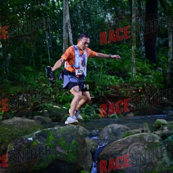 Runner Photo 321252