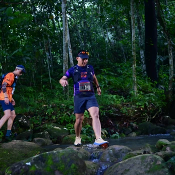 Runner Photo 321600