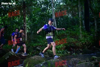 Runner Photo 321805