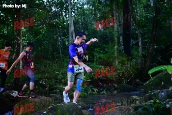 Runner Photo 321888