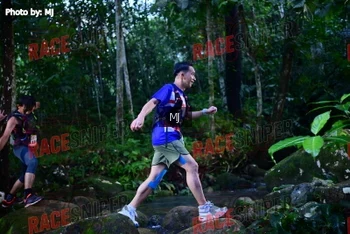 Runner Photo 321898