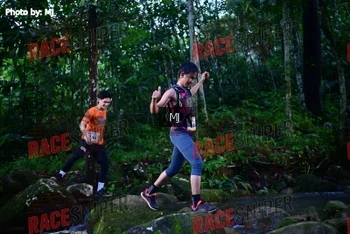 Runner Photo 321923