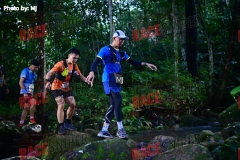 Runner Photo 322026