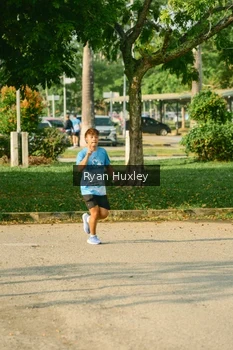 Runner Photo 3221417