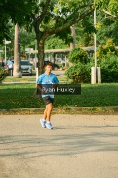 Runner Photo 3221440