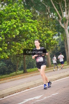 Runner Photo 3229645