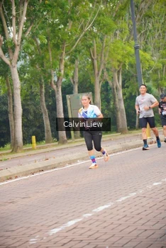 Runner Photo 3230689