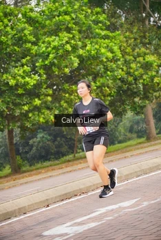 Runner Photo 3230948