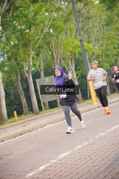 Runner Photo 3231138