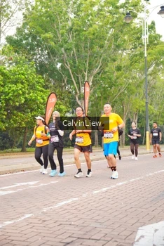 Runner Photo 3232371