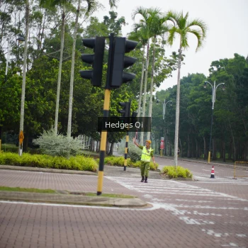 Runner Photo 3233221