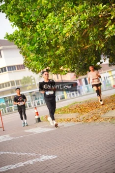 Runner Photo 3235179