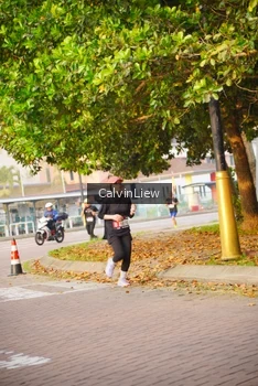 Runner Photo 3235537