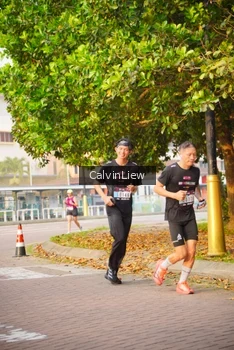 Runner Photo 3235686