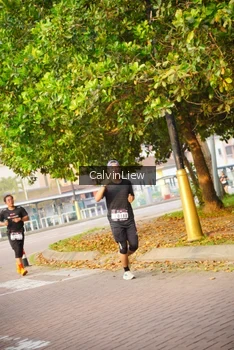 Runner Photo 3235914