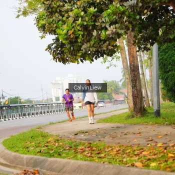 Runner Photo 3236248