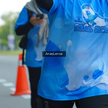 Runner Photo 3236288