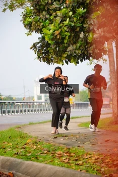 Runner Photo 3236352