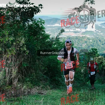 Runner Photo 323762