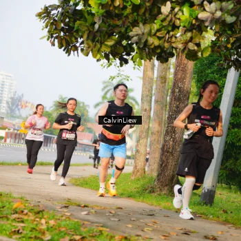 Runner Photo 3237629