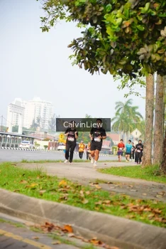 Runner Photo 3238444
