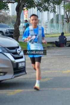 Runner Photo 3241928