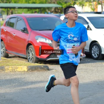 Runner Photo 3244629
