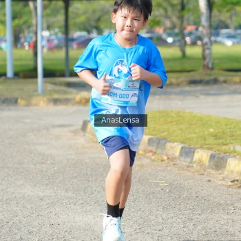 Runner Photo 3247406
