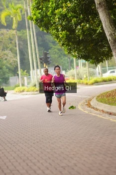 Runner Photo 3260804