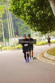 Runner Photo 3261278